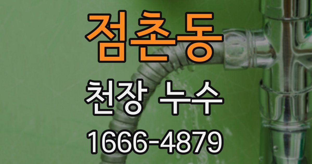 점촌동 천장 누수