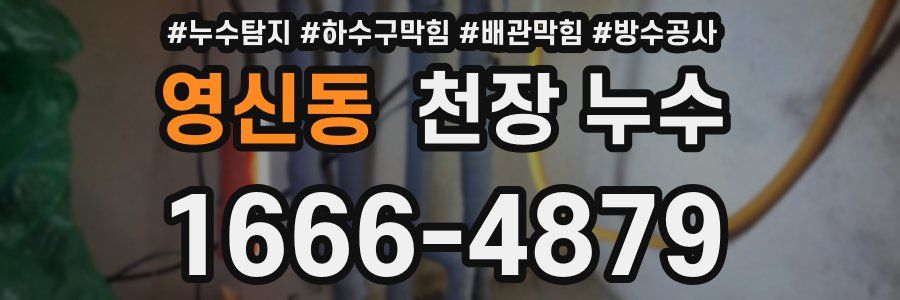 영신동 천장 누수