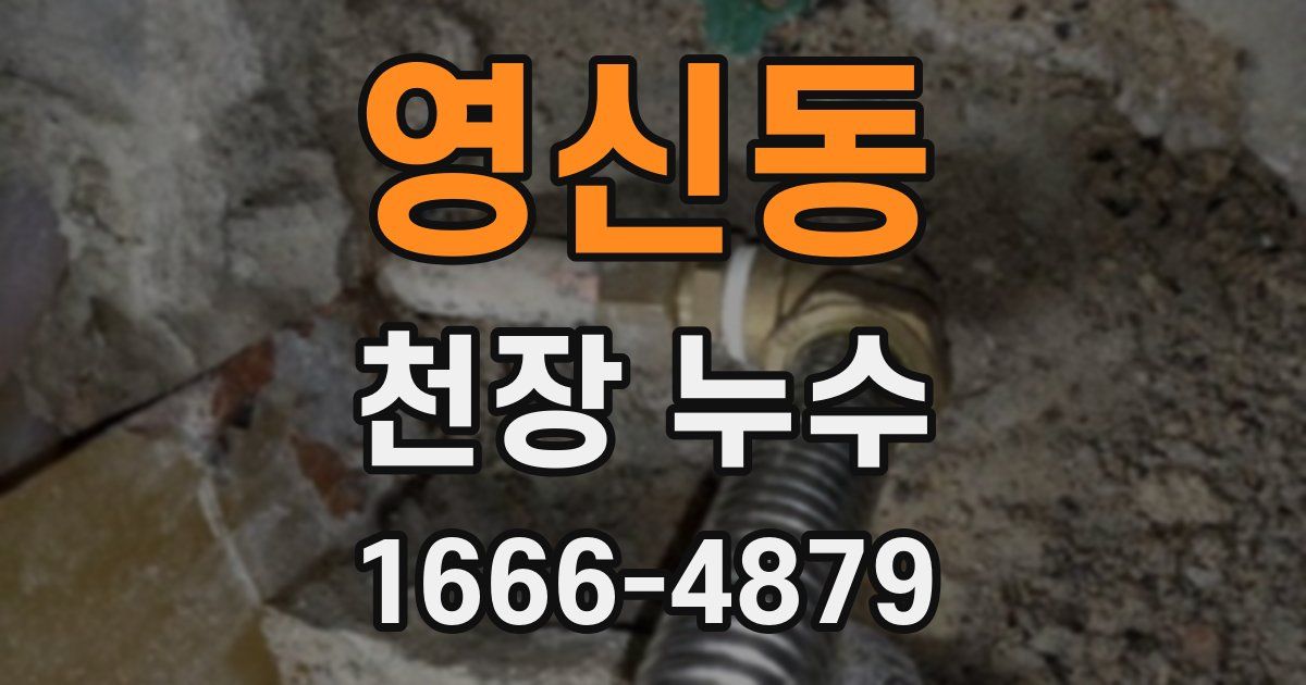 영신동 천장 누수