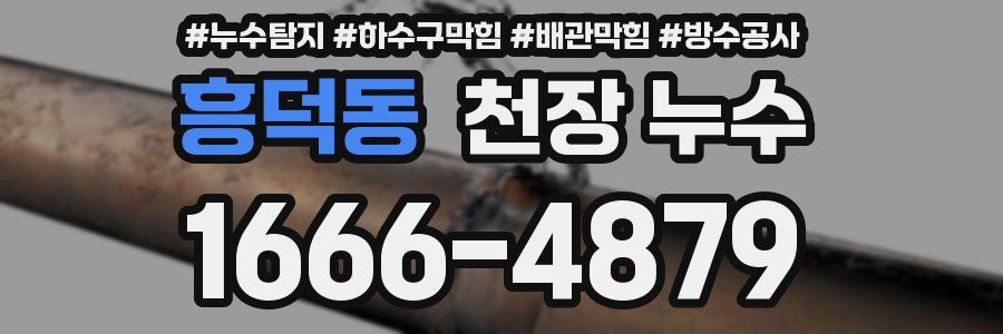 흥덕동 천장 누수