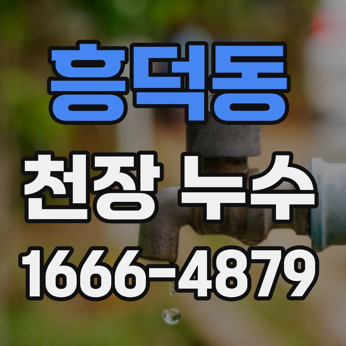 흥덕동 천장 누수