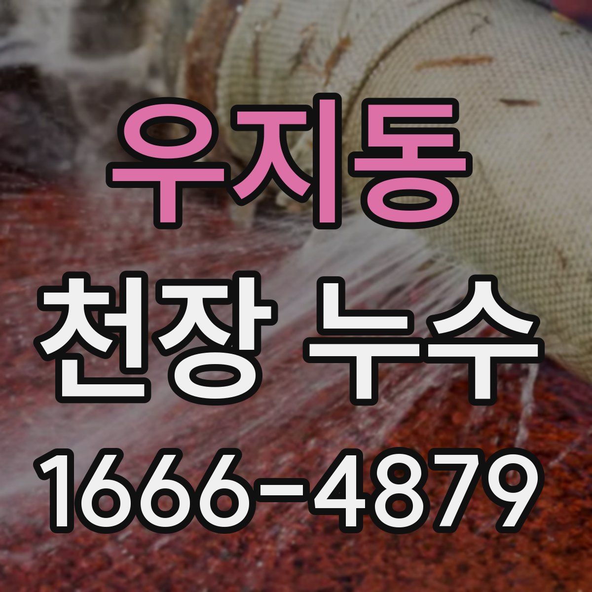 우지동 천장 누수