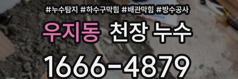 우지동 천장 누수