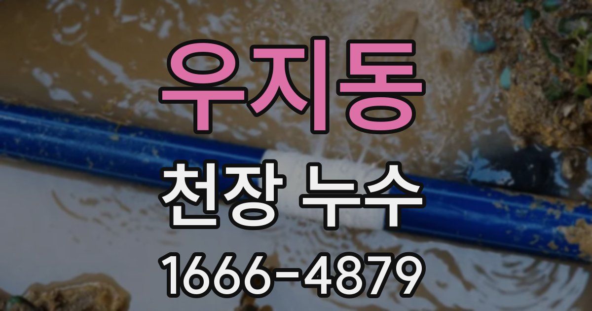 우지동 천장 누수