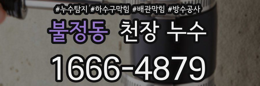 불정동 천장 누수