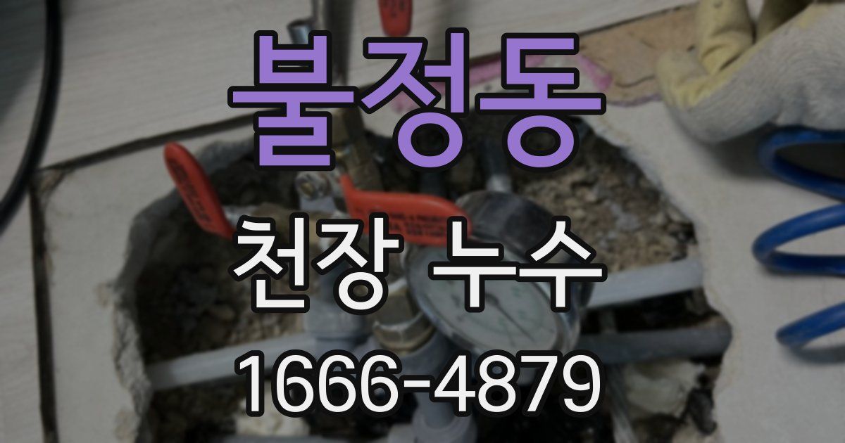 불정동 천장 누수