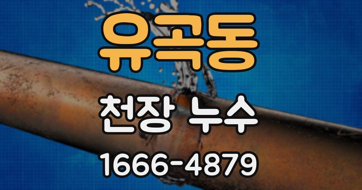 유곡동 천장 누수