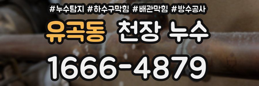 유곡동 천장 누수