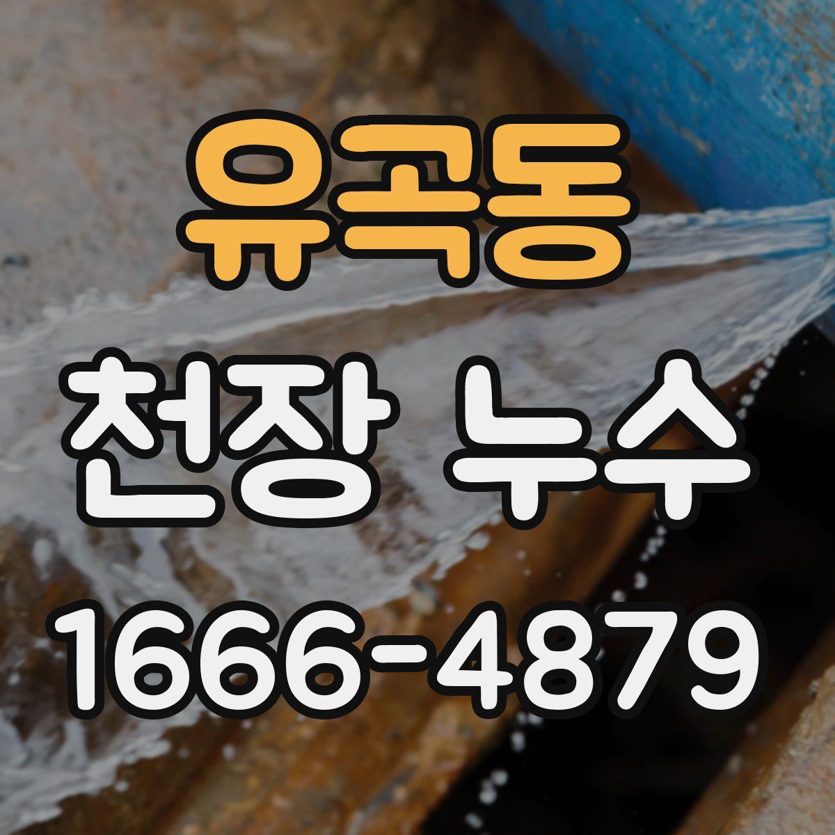 유곡동 천장 누수
