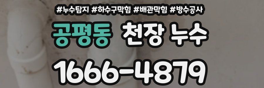 공평동 천장 누수