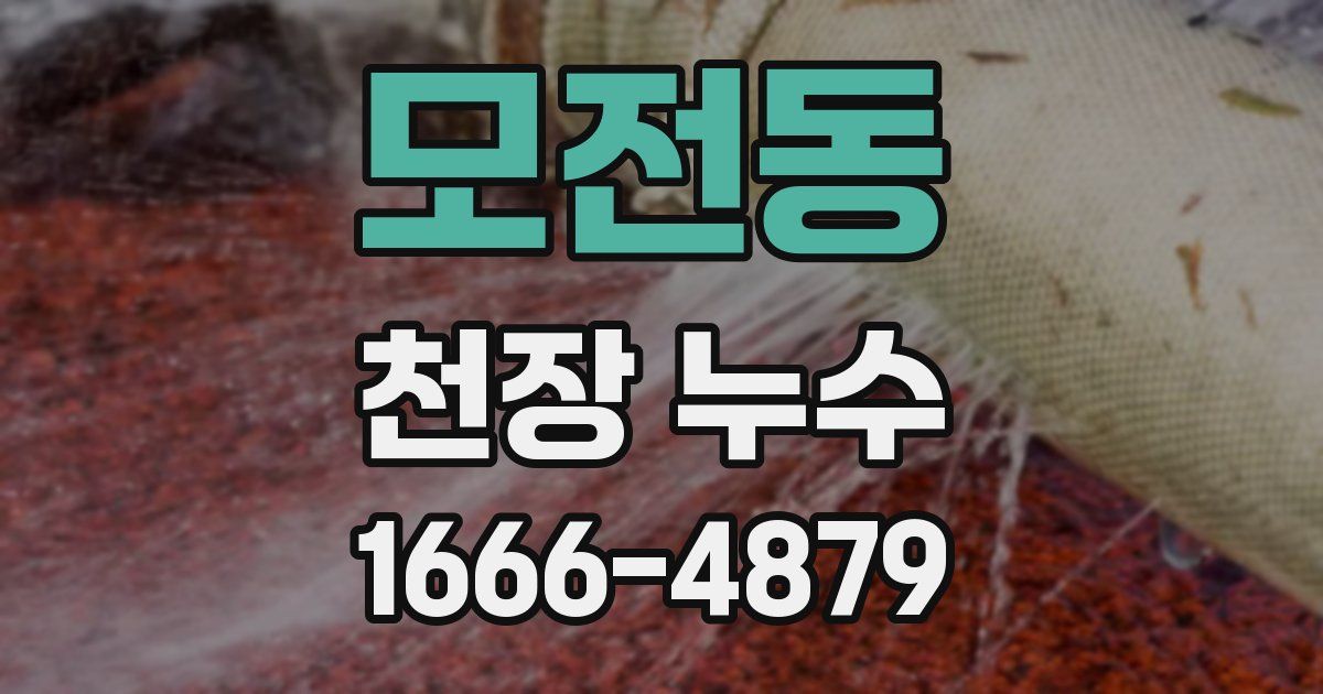 모전동 천장 누수