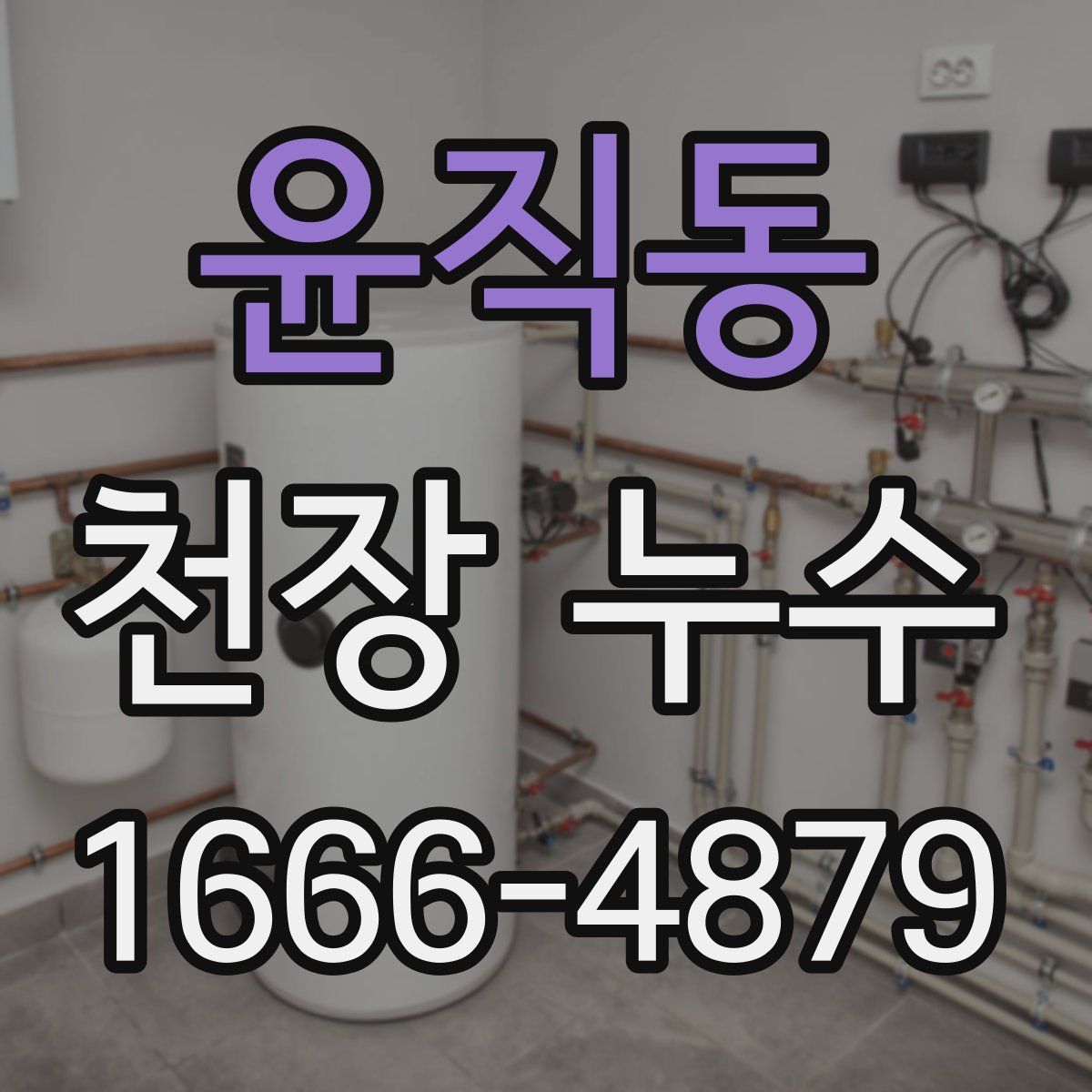 윤직동 천장 누수