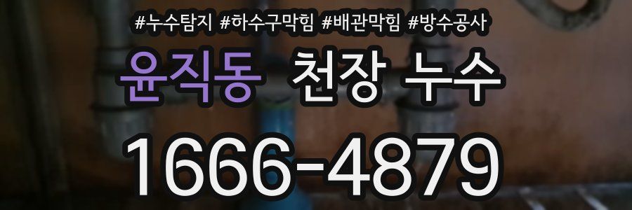 윤직동 천장 누수