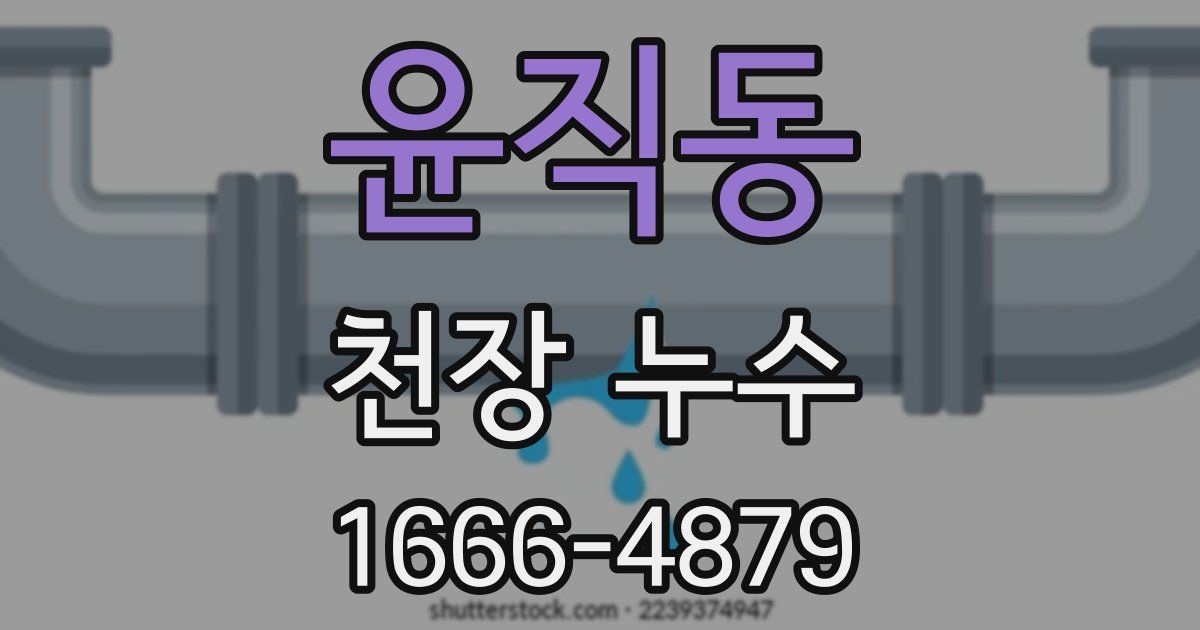 윤직동 천장 누수