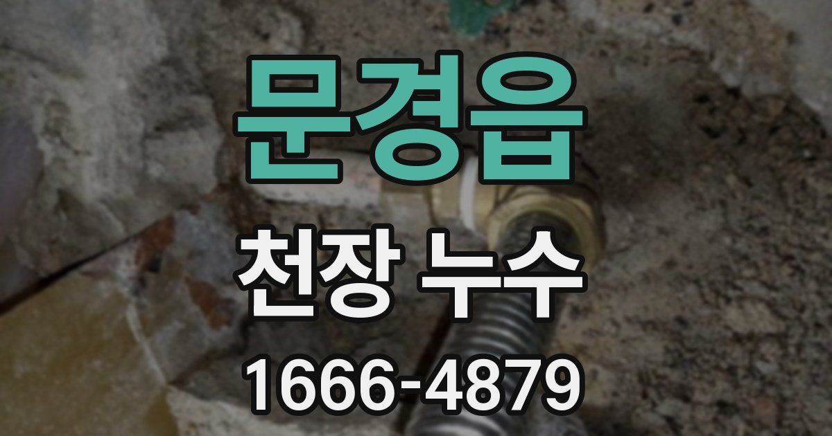문경읍 천장 누수
