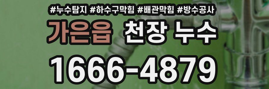 가은읍 천장 누수