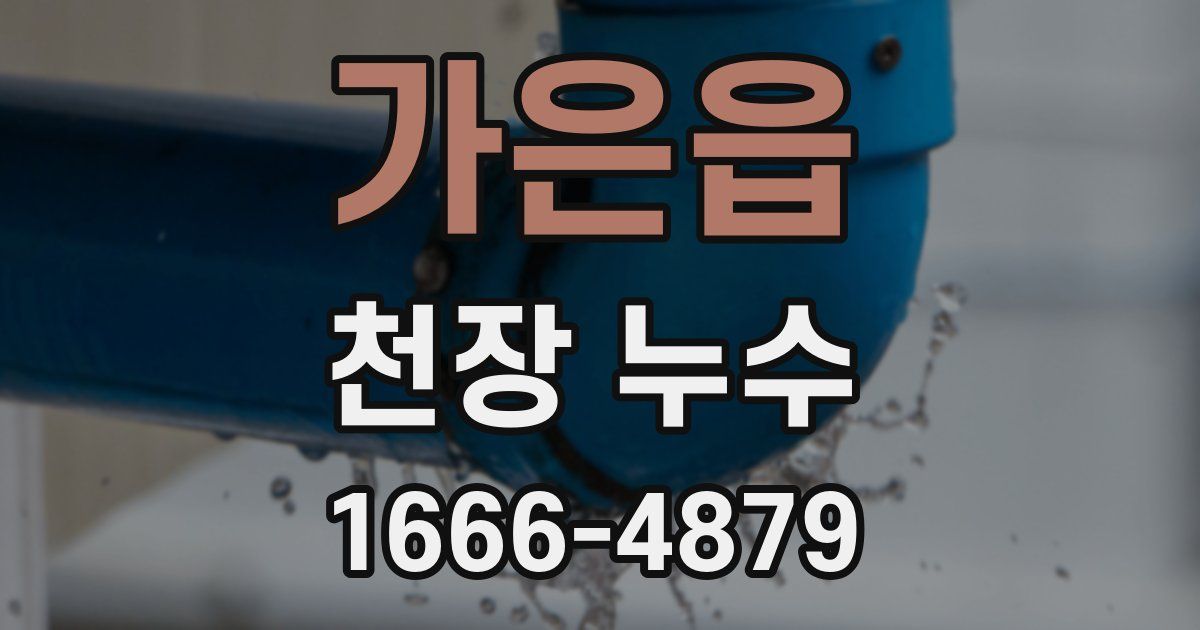 가은읍 천장 누수