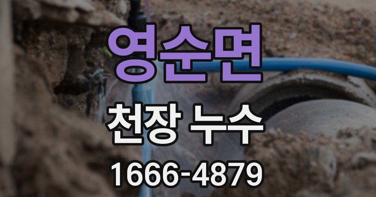 영순면 천장 누수