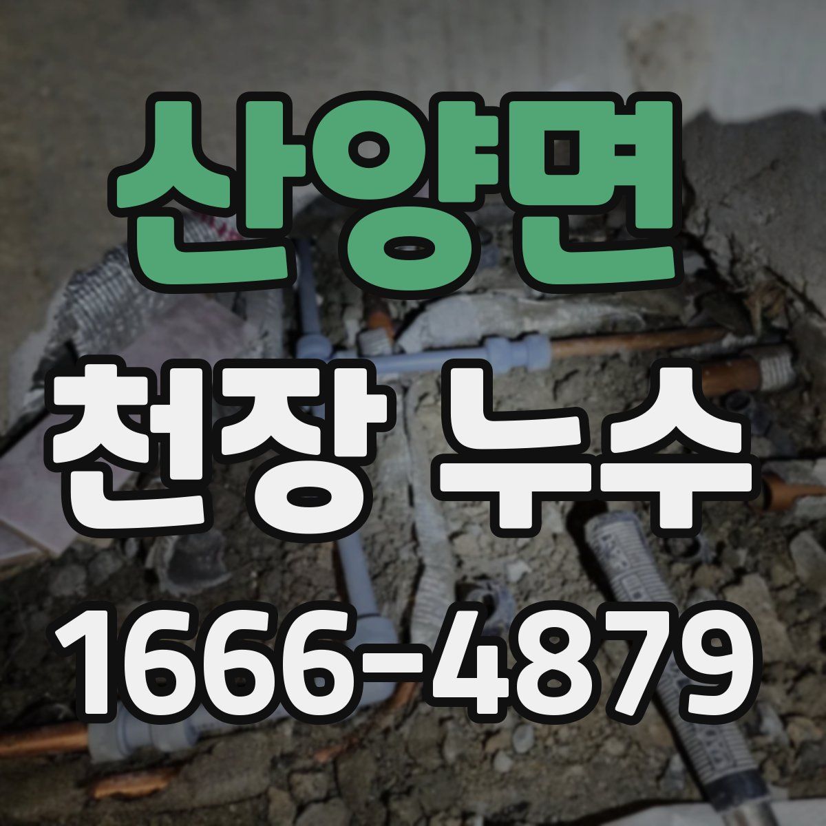 산양면 천장 누수