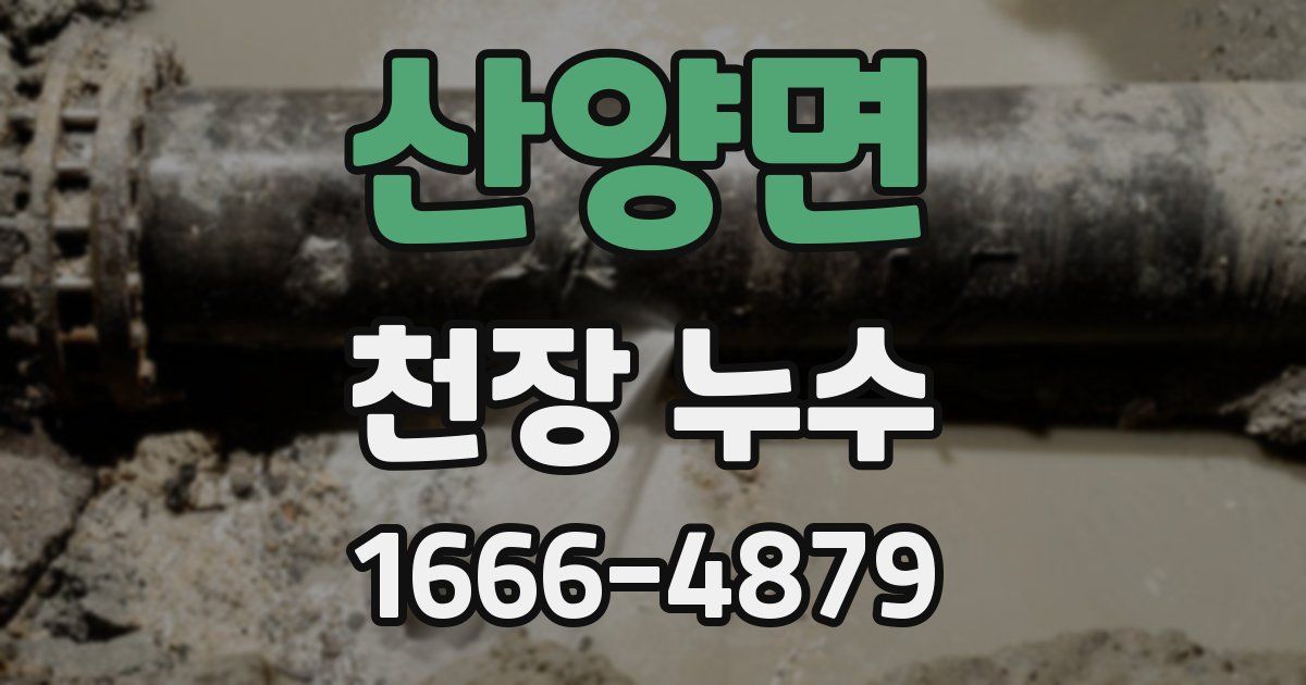 산양면 천장 누수