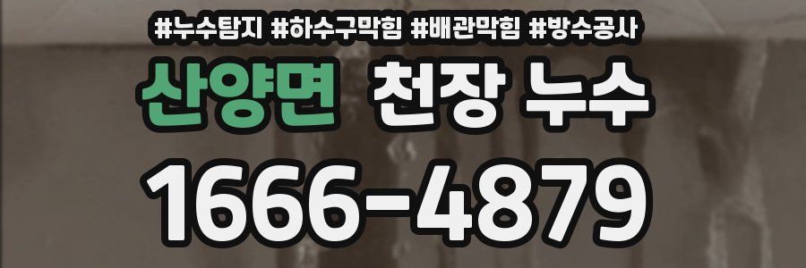 산양면 천장 누수
