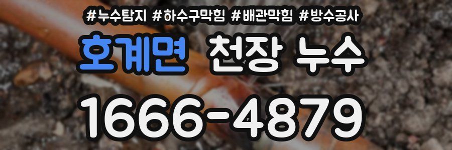 호계면 천장 누수