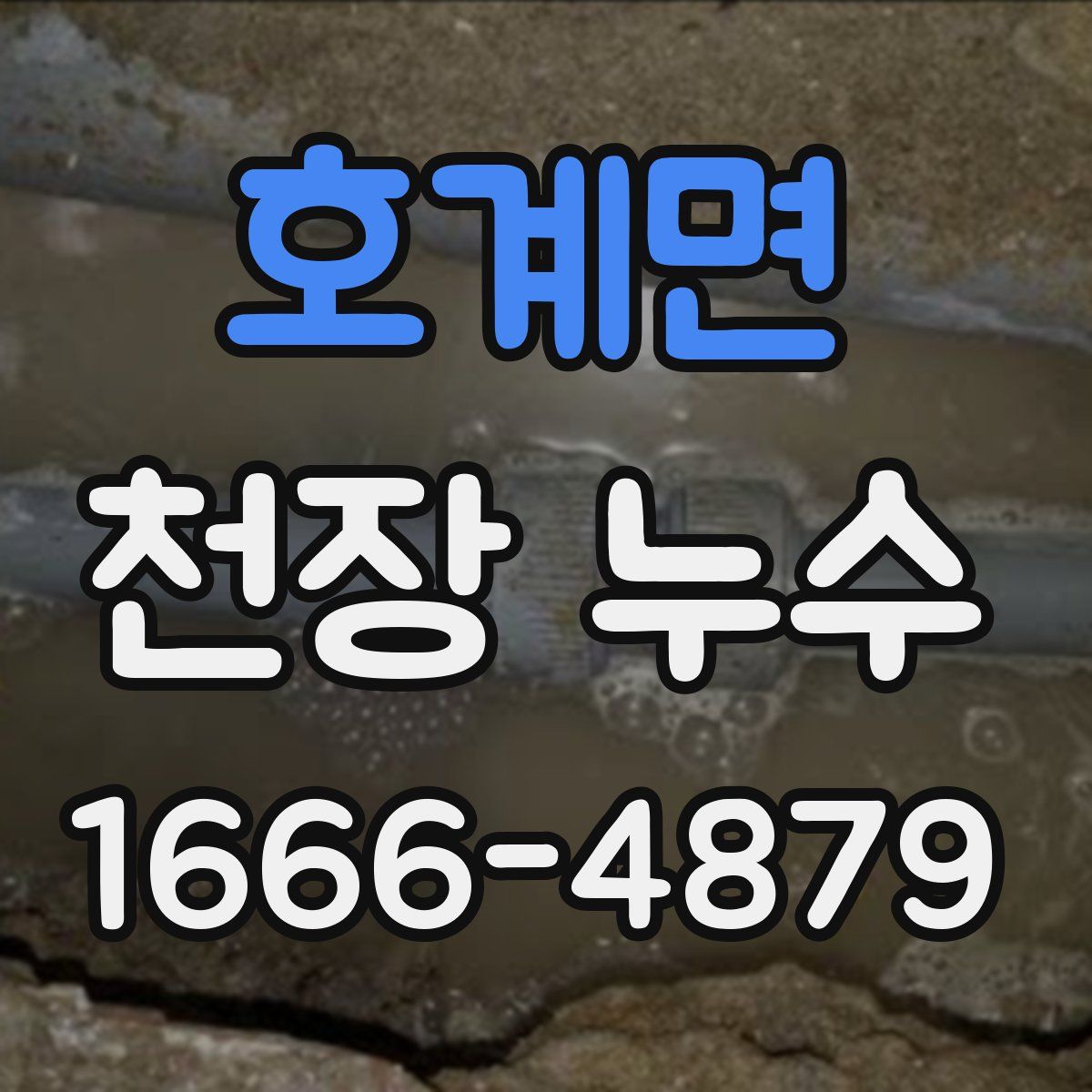 호계면 천장 누수