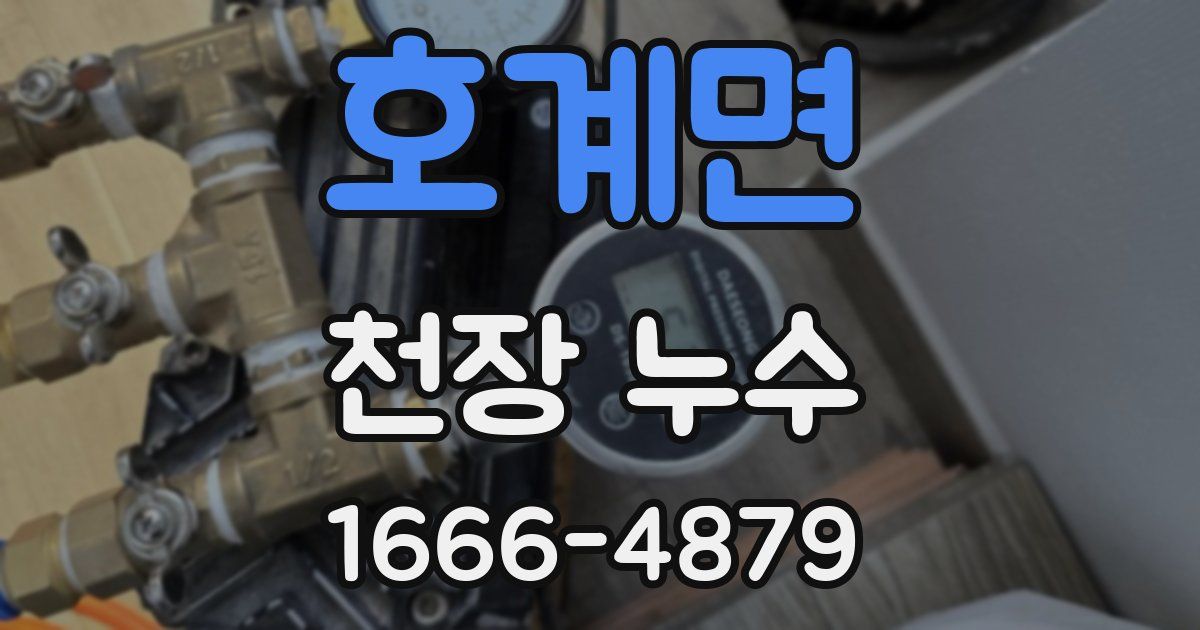 호계면 천장 누수