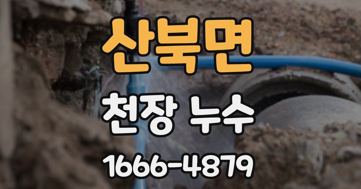 산북면 천장 누수