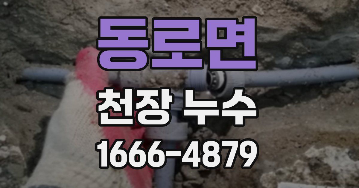동로면 천장 누수