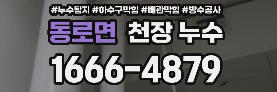 동로면 천장 누수