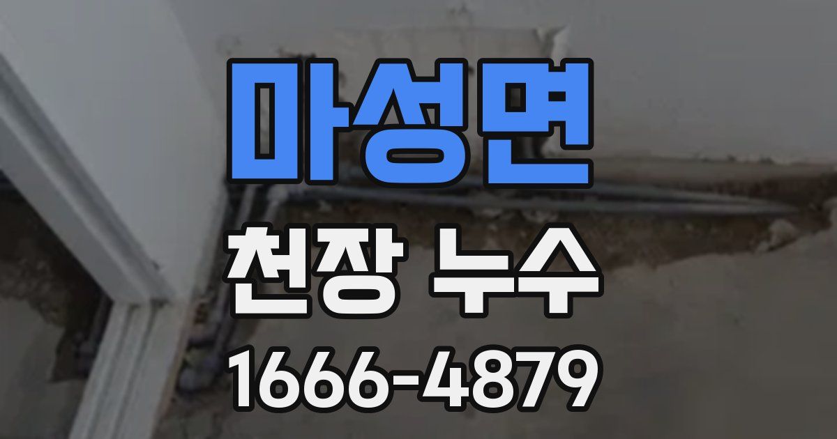 마성면 천장 누수