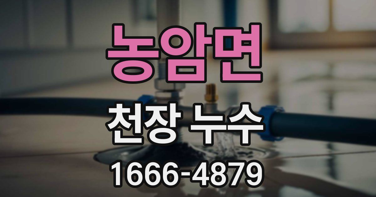 농암면 천장 누수