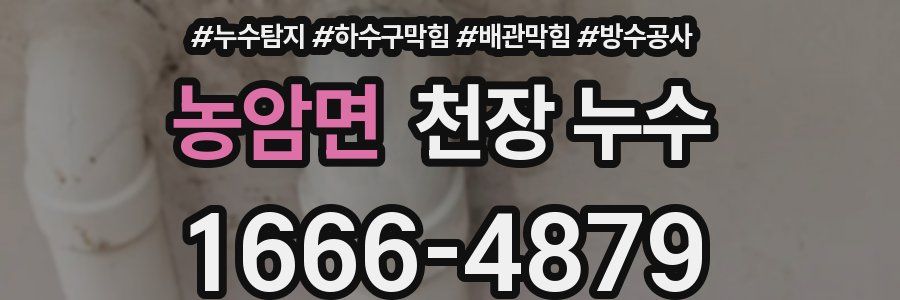 농암면 천장 누수
