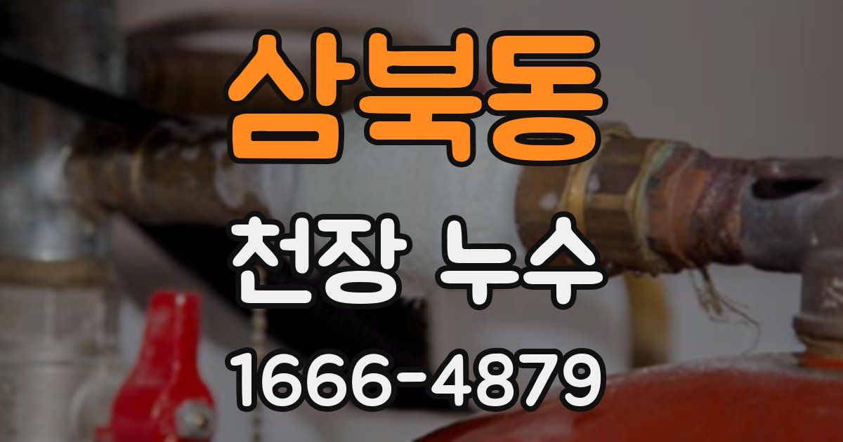 삼북동 천장 누수