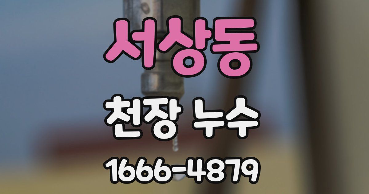 서상동 천장 누수