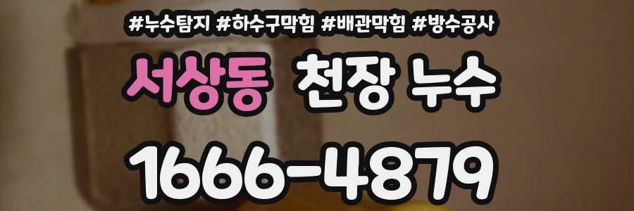 서상동 천장 누수