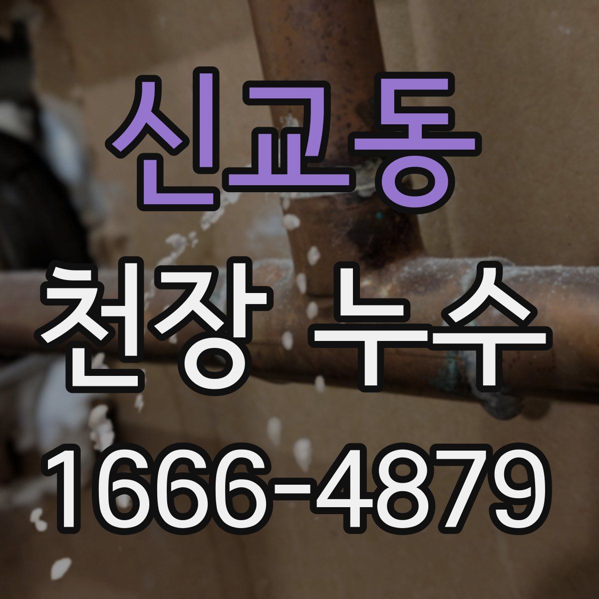 신교동 천장 누수