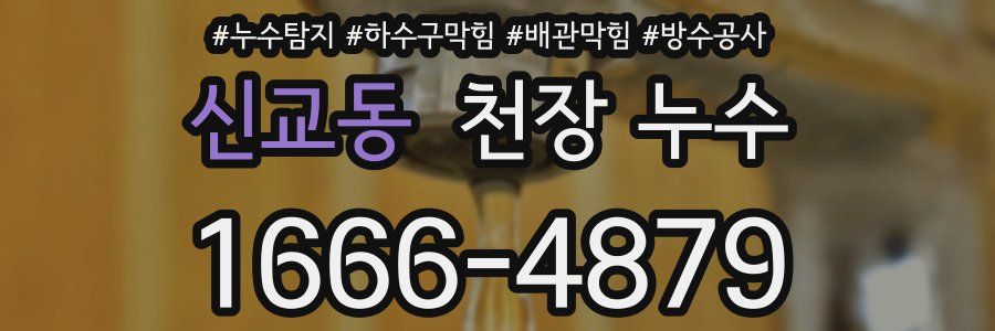 신교동 천장 누수