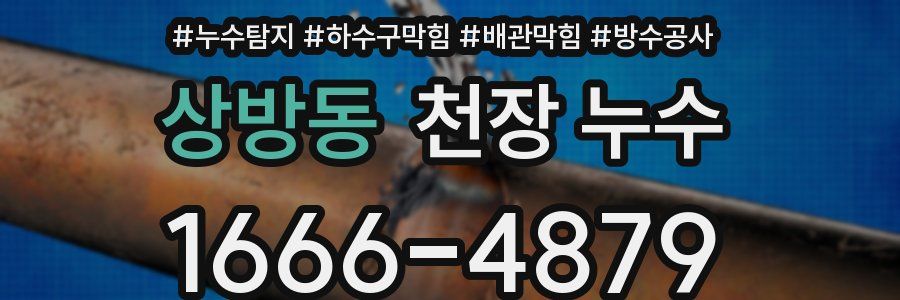 상방동 천장 누수