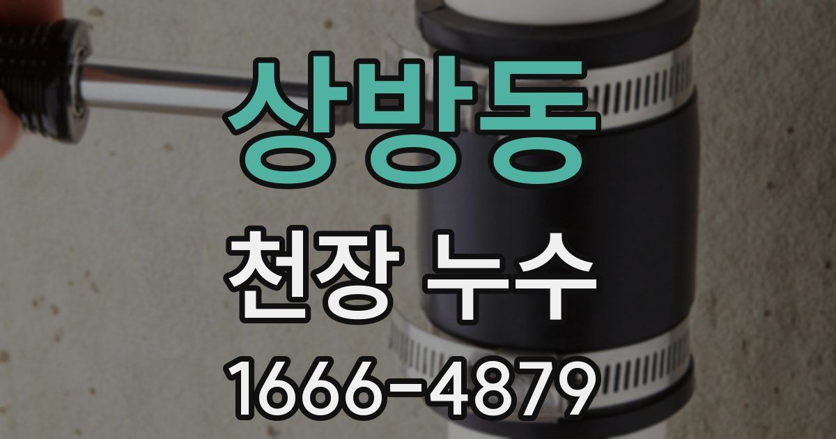 상방동 천장 누수