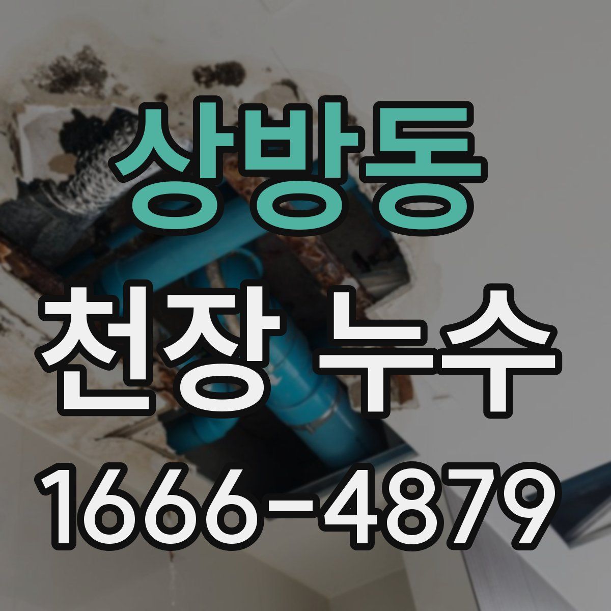 상방동 천장 누수