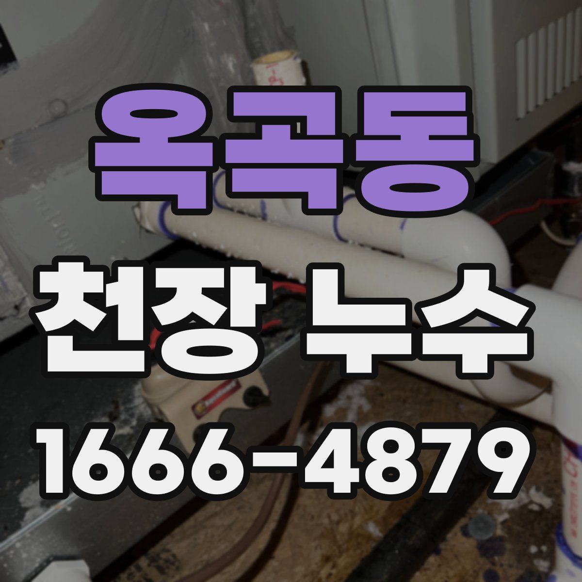 옥곡동 천장 누수