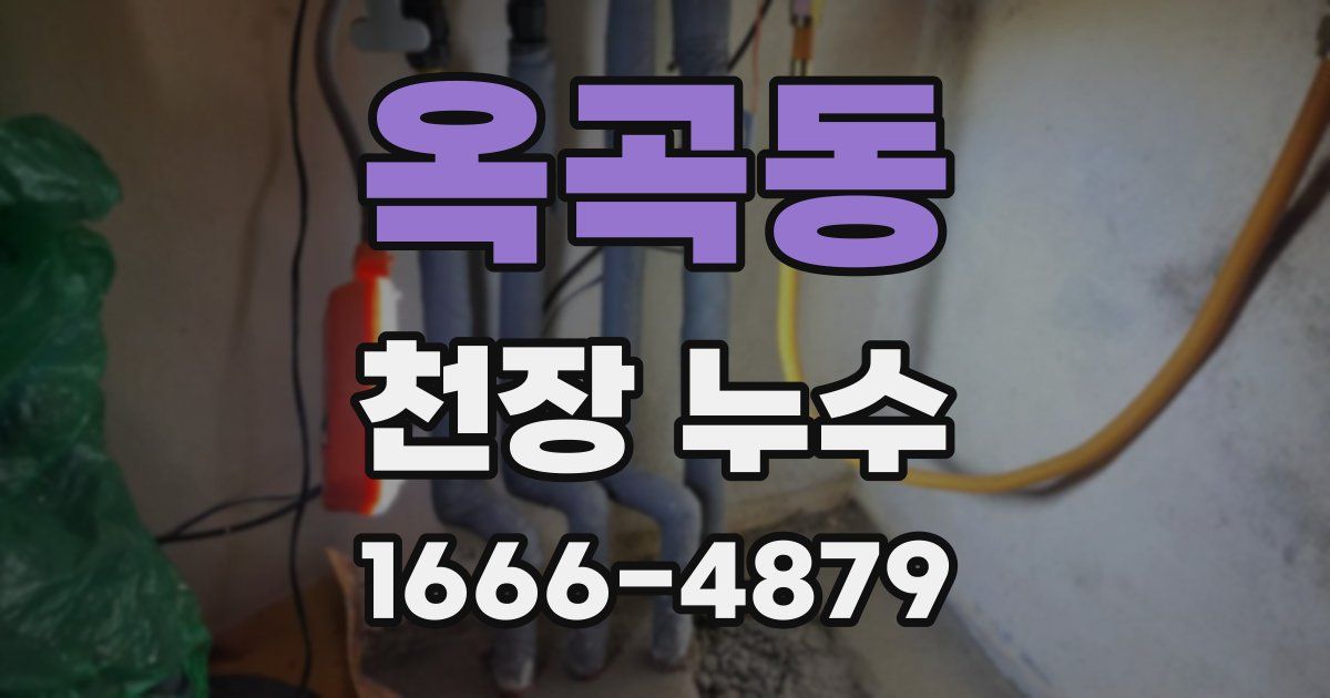 옥곡동 천장 누수