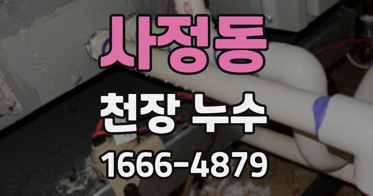 사정동 천장 누수