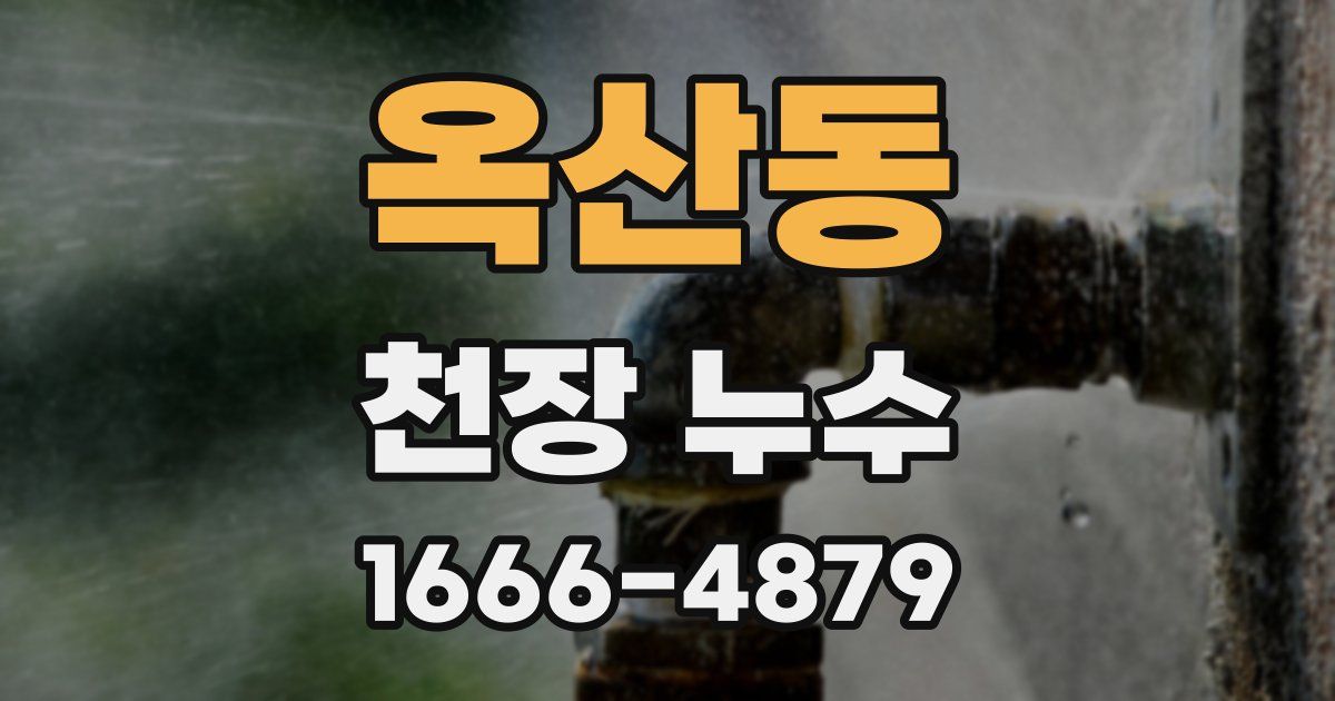 옥산동 천장 누수