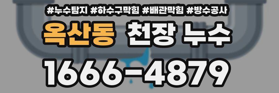 옥산동 천장 누수