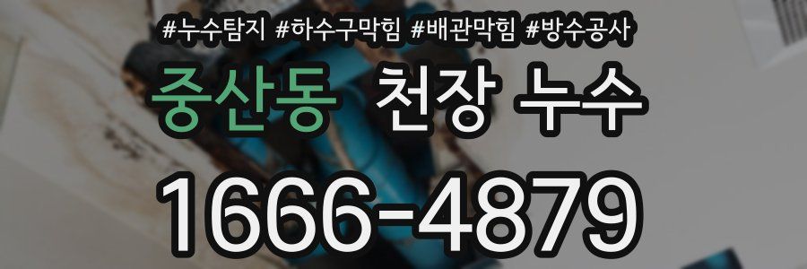 중산동 천장 누수