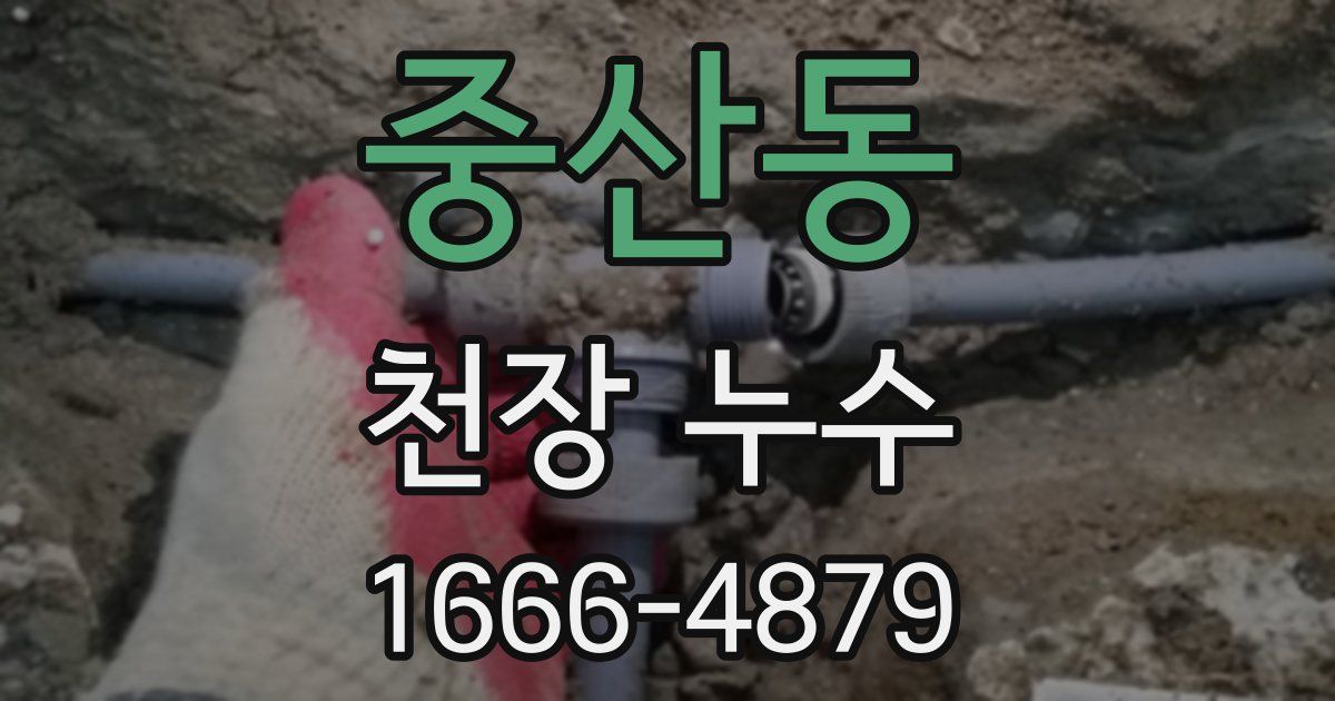 중산동 천장 누수