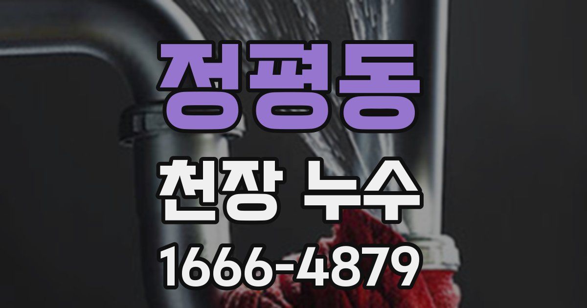 정평동 천장 누수